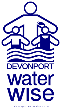 dsww_logo
